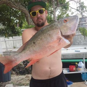 Meet your Posher, Lance